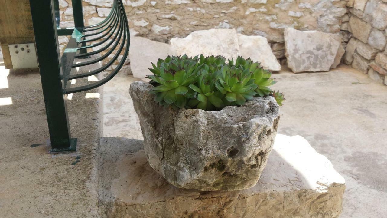 Villa Cetina Milasi 외부 사진