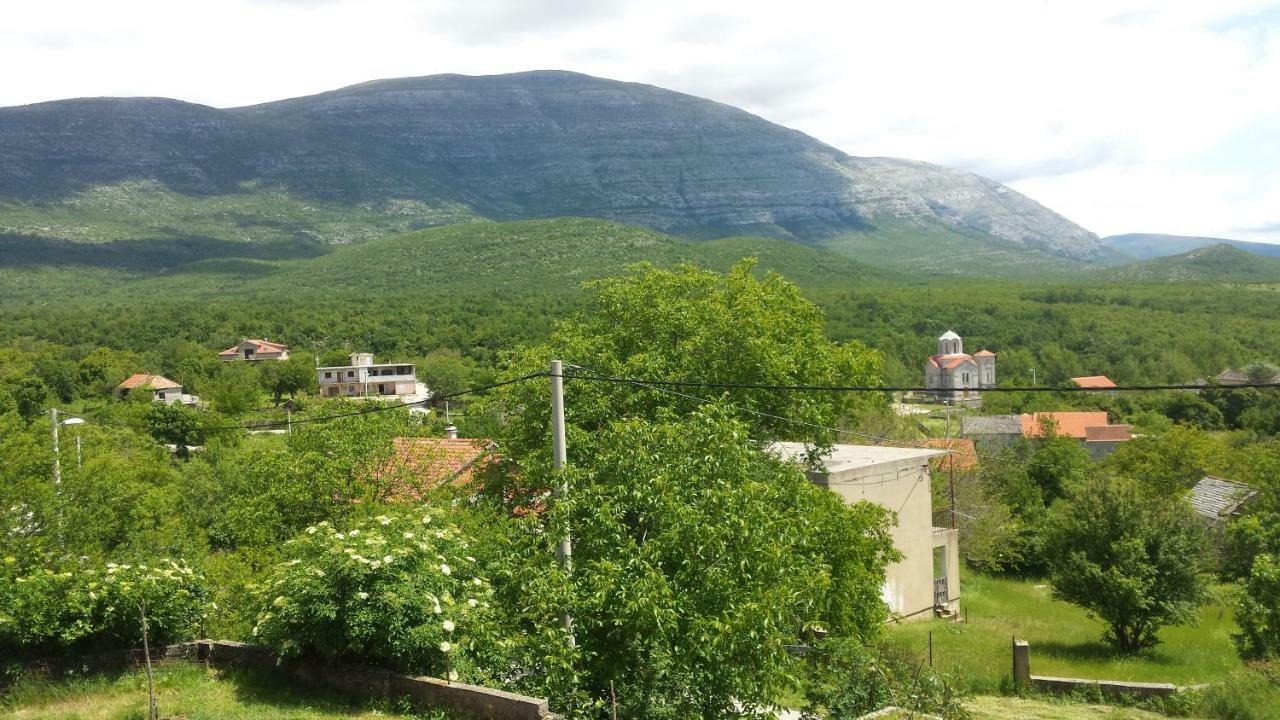 Villa Cetina Milasi 외부 사진