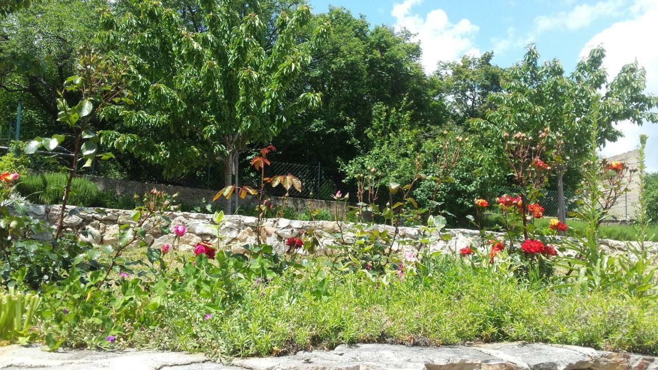 Villa Cetina Milasi 외부 사진