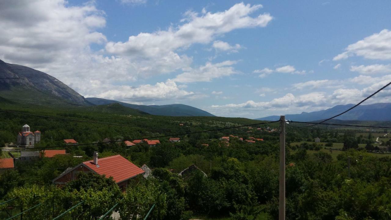 Villa Cetina - Apartment With A View Milasi 외부 사진