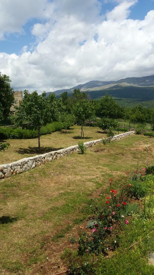 Villa Cetina - Apartment With A View Milasi 외부 사진