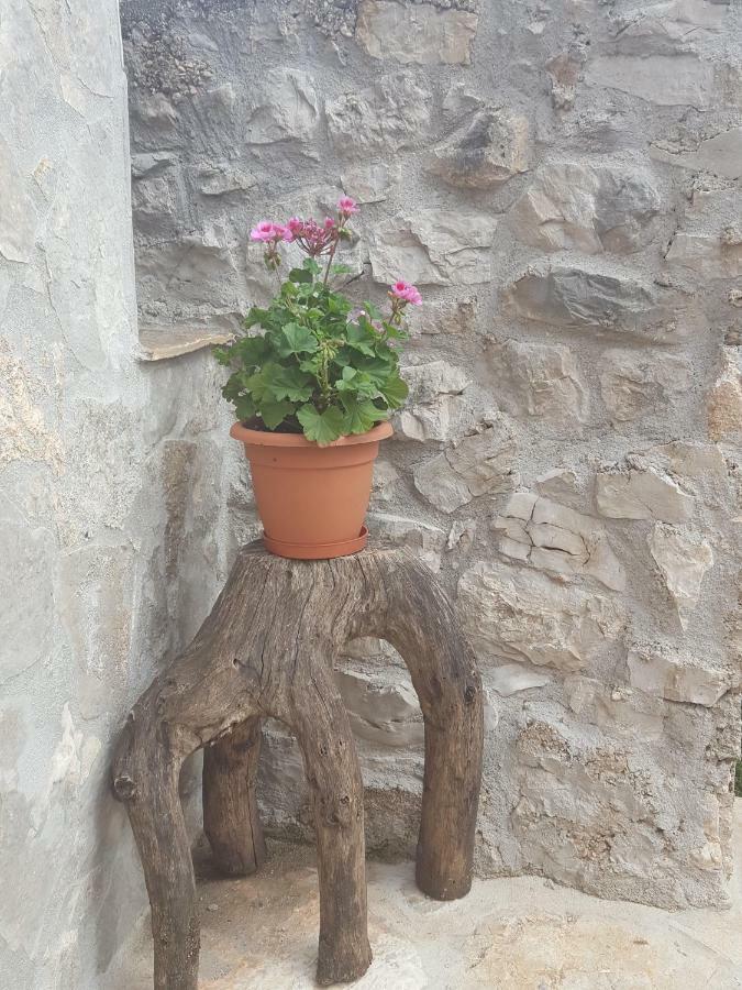 Villa Cetina Milasi 외부 사진