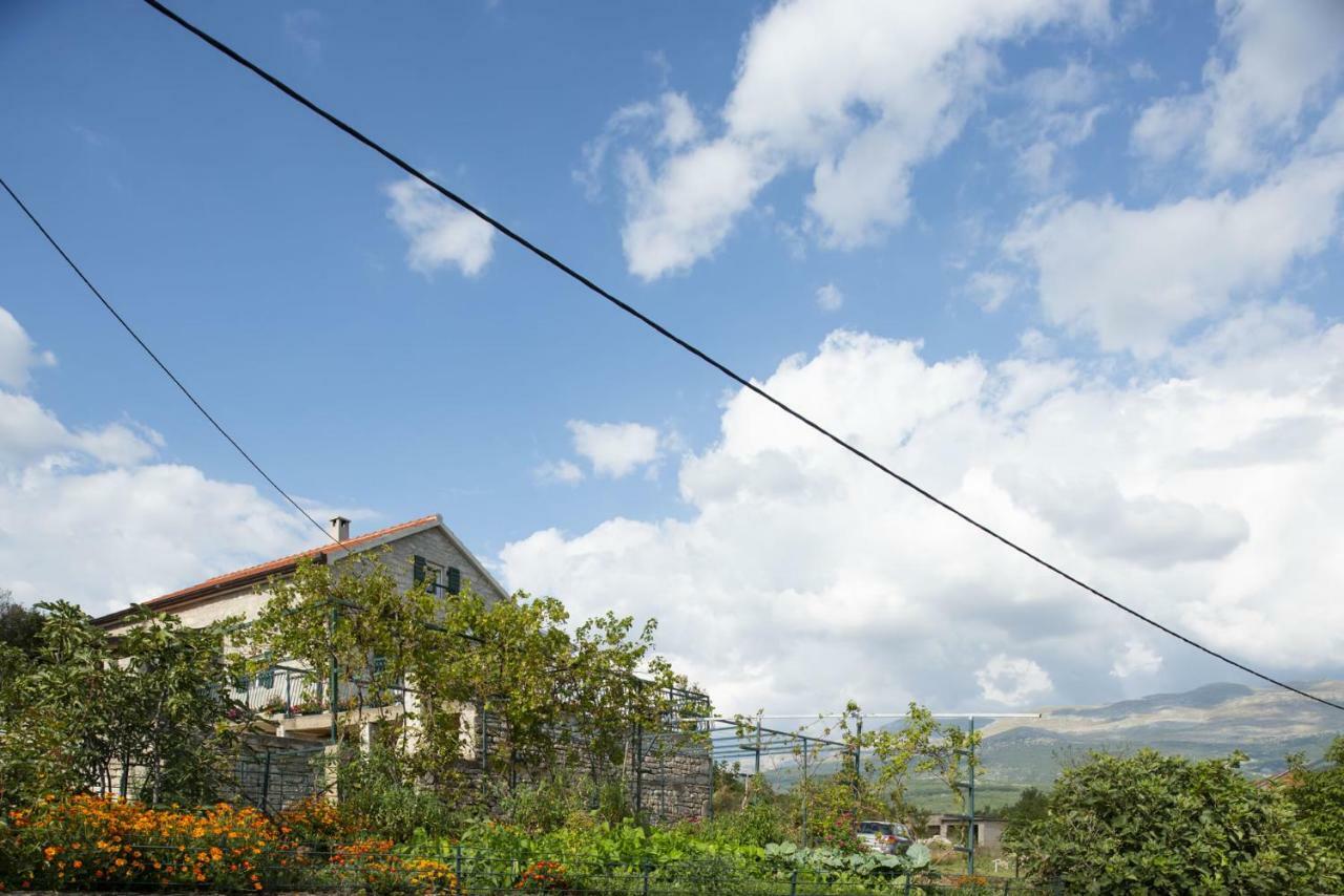 Villa Cetina - Apartment With A View Milasi 외부 사진